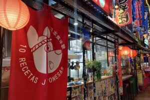 10 Recetas Japonesas