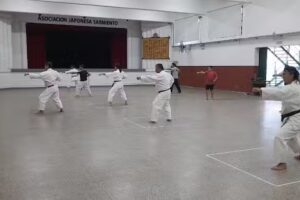 Asociaci&oacute;n Japonesa Sarmiento