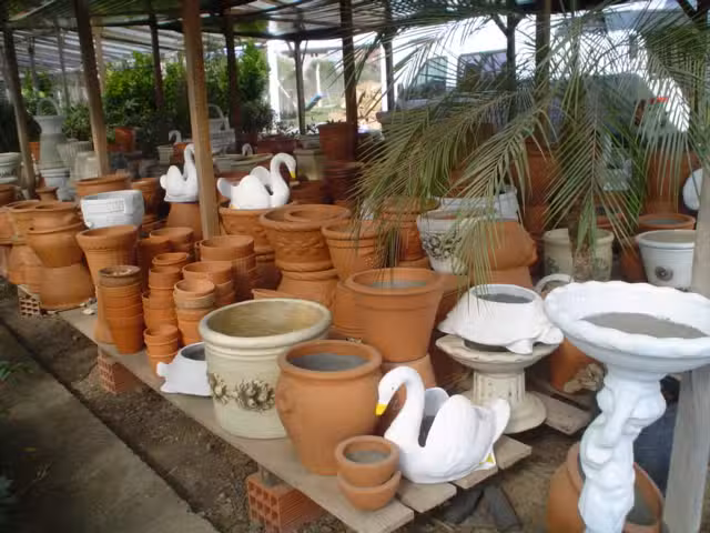 Florer&iacute;a Japonesa