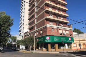 La Flor Japonesa Jun&iacute;n