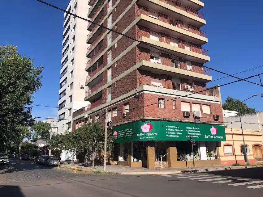 La Flor Japonesa Jun&iacute;n