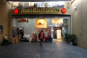Nueva Casa Japonesa