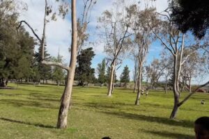 Parque Chachingo