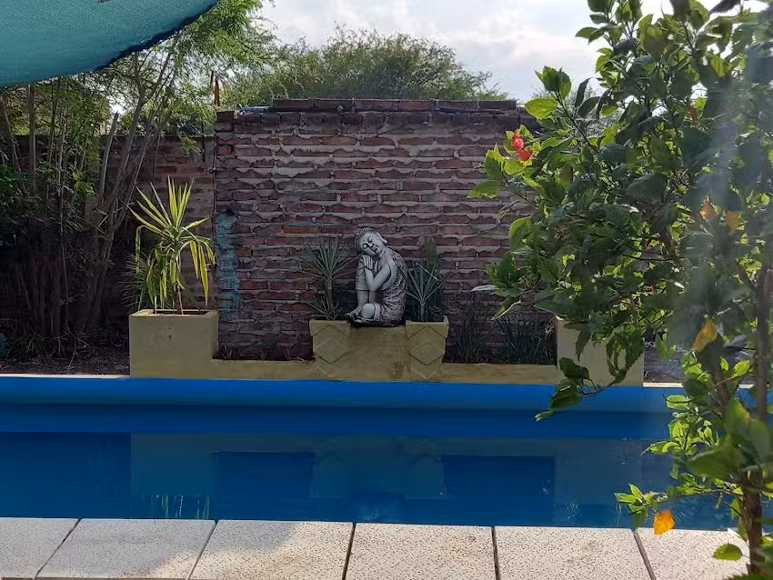 Sushi Express Castelli