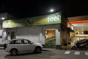 Sushifeel Take Away & Delivery Pque. Guillermina