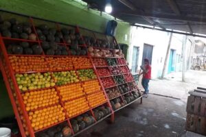 Verduleria El Japones